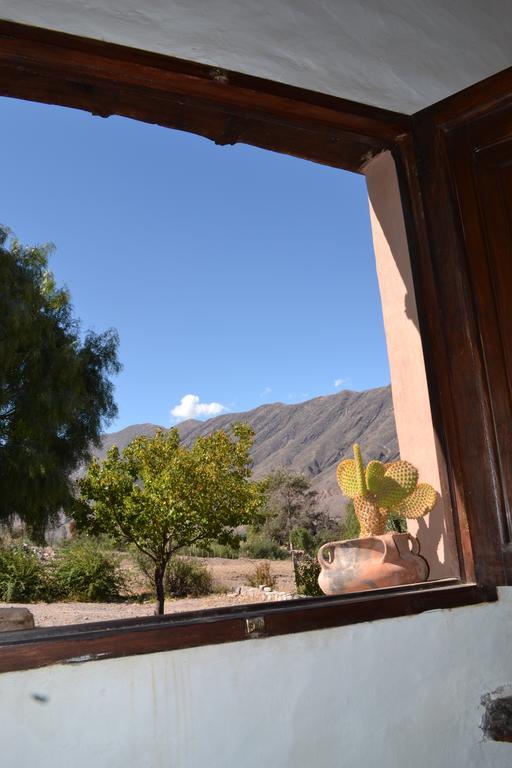 Posada Suri Huasi Тилькара Номер фото